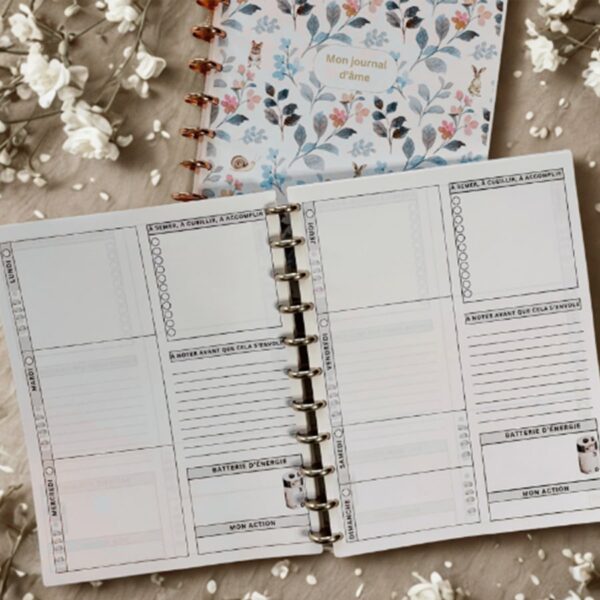 OFFRE DE LANCEMENT – Ensemble Journal d’âme Vert Plume – Image 5